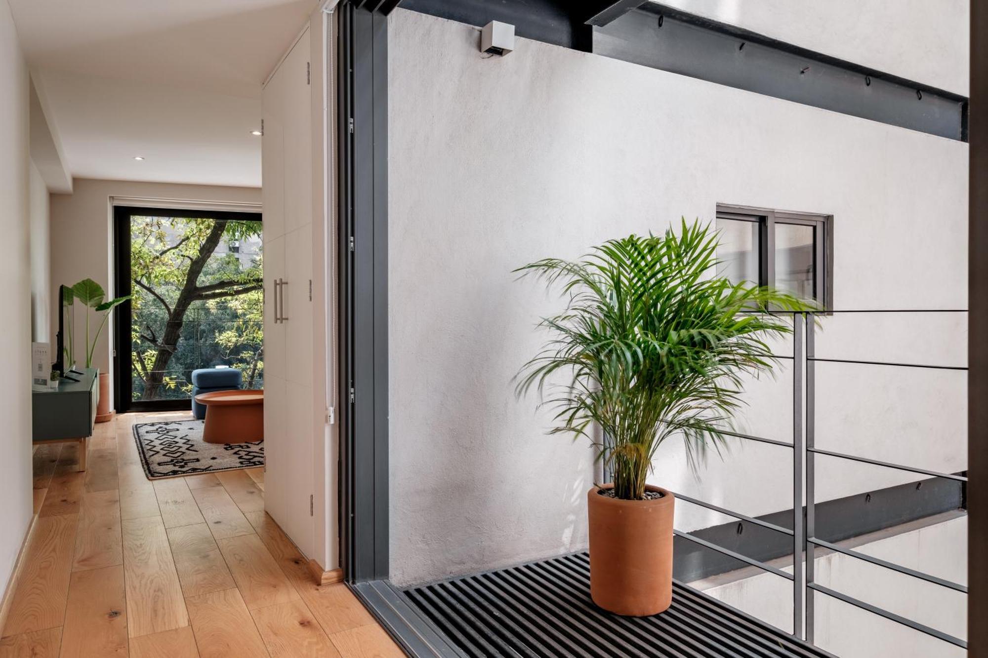 Modern Apartments La Condesa Pet Friendly Мехико Экстерьер фото